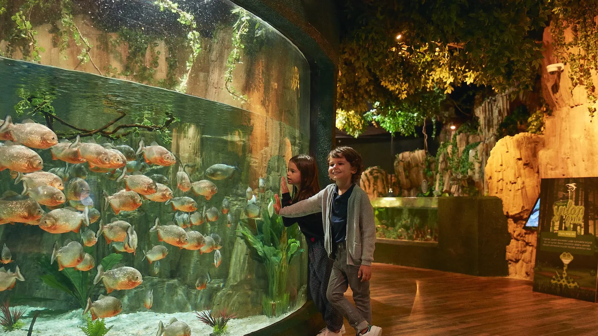 Emaar Aquarium and Underwater Zoo Ticket - Photo 9