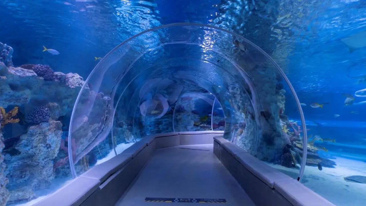 Emaar Aquarium and Underwater Zoo Ticket - Photo 10