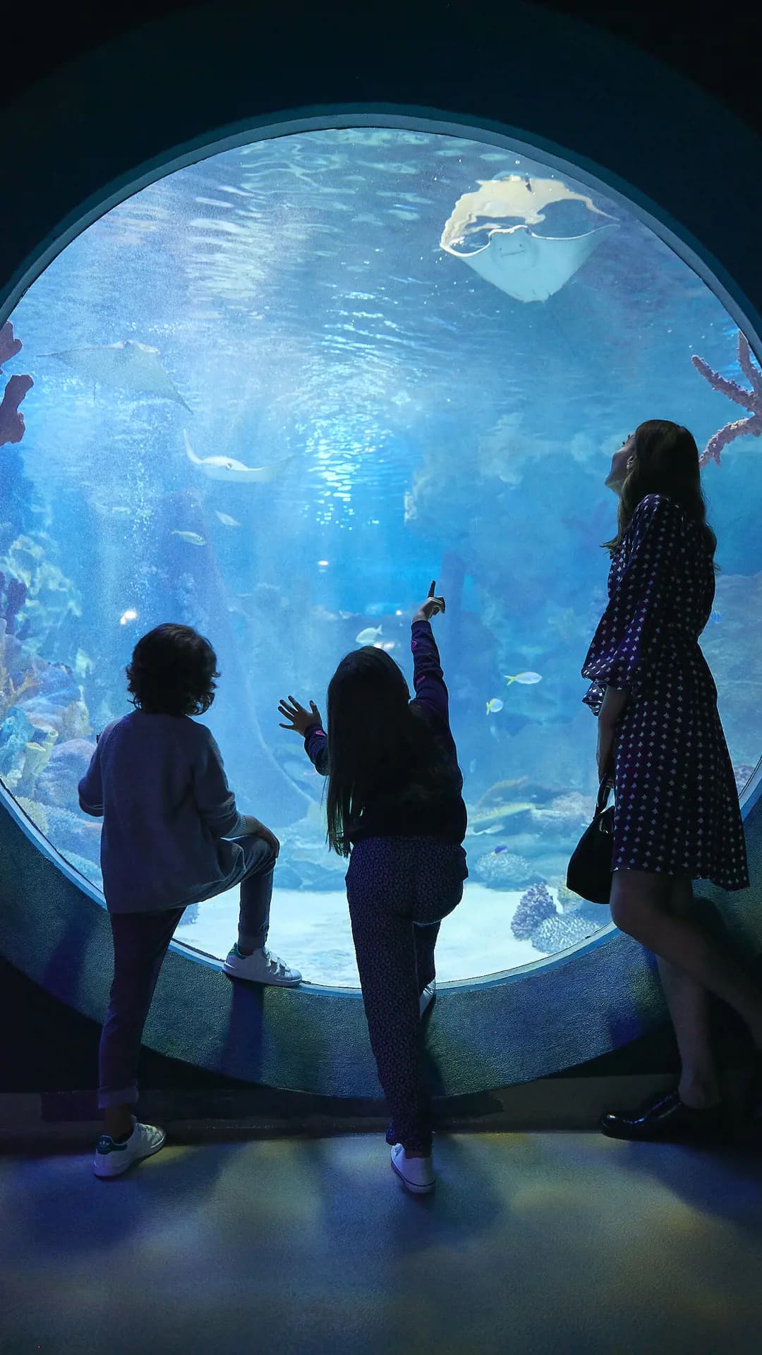 Emaar Aquarium and Underwater Zoo Ticket - Photo 12