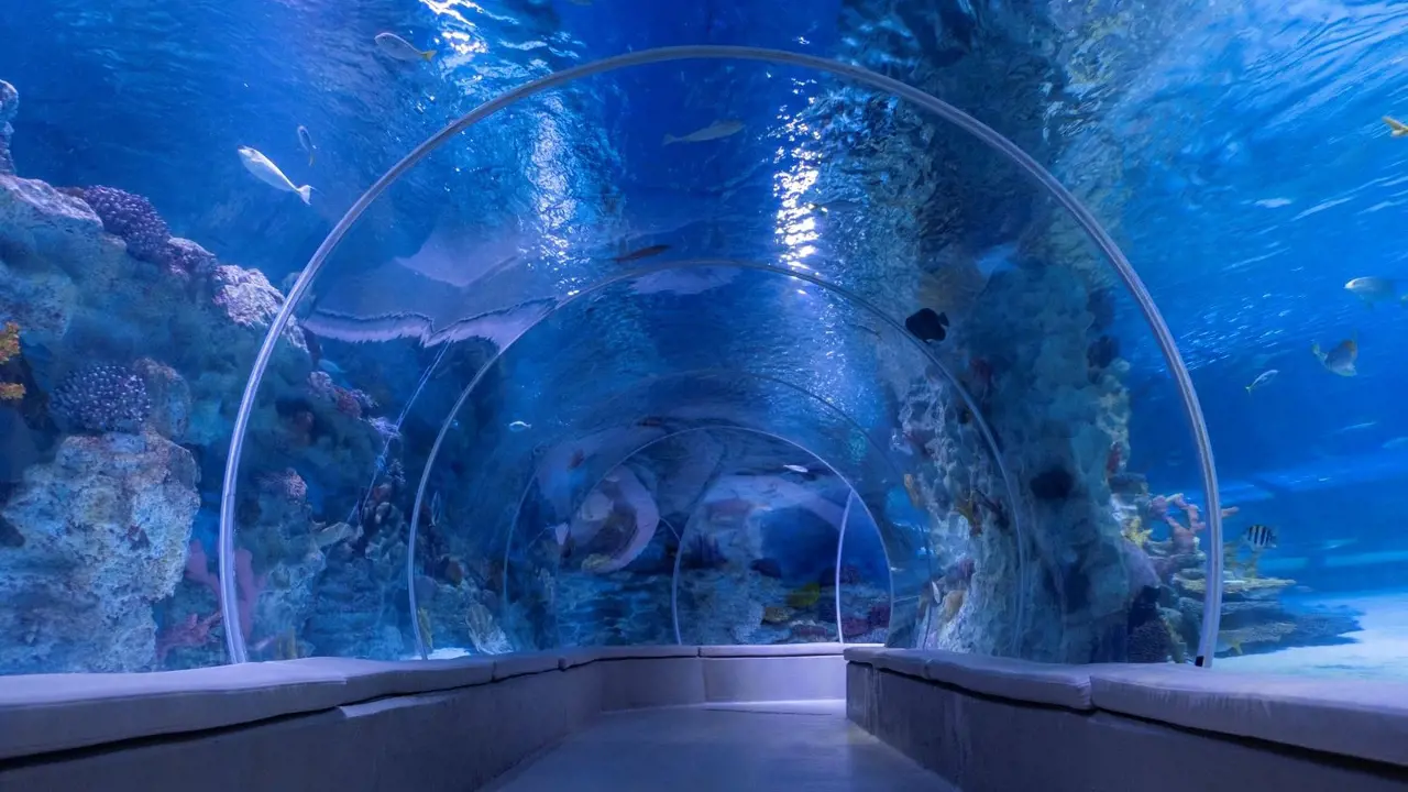 Emaar Aquarium and Underwater Zoo Ticket - Photo 5