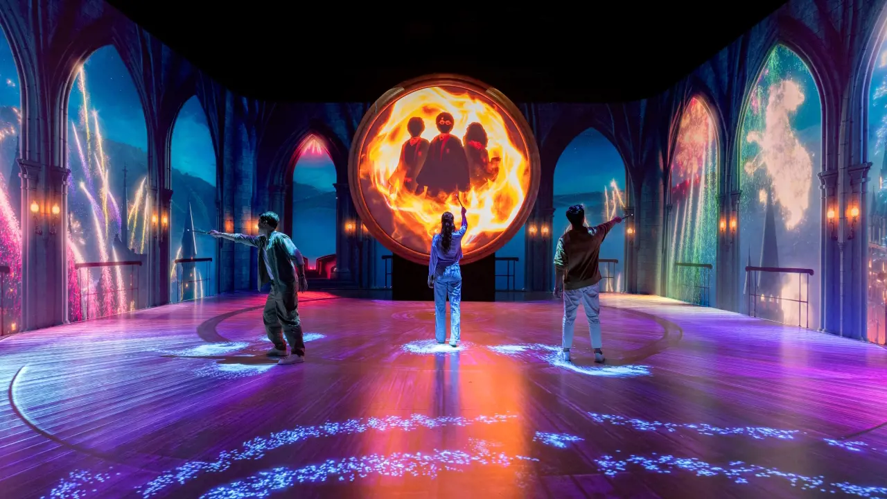 Harry Potter: Visions of Magic - Photo 25