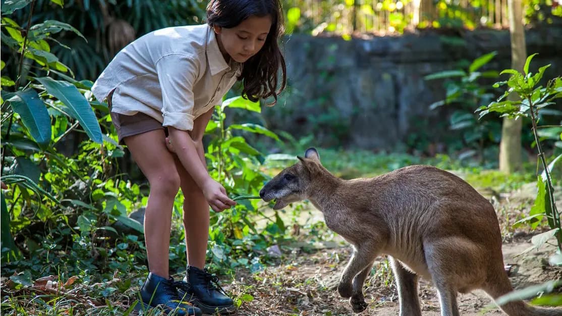 Bali Zoo Ticket - Photo 2