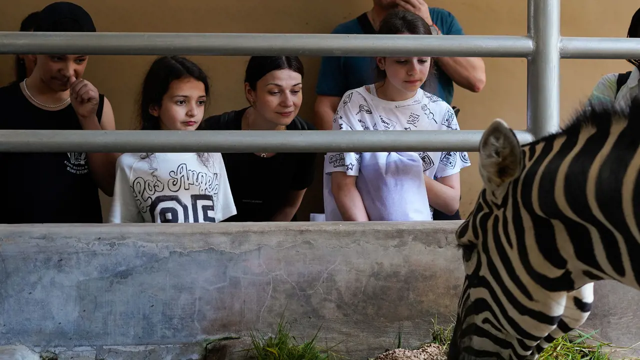 Bali Zoo Ticket - Photo 6