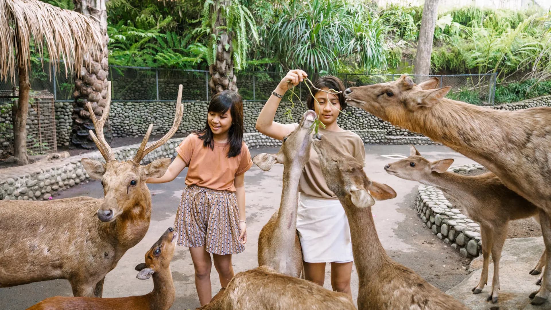 Bali Zoo Ticket - Photo 24