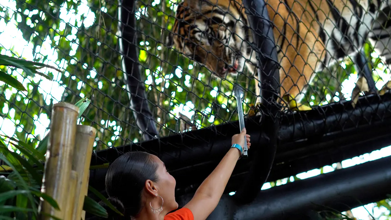 Bali Zoo Ticket - Photo 13
