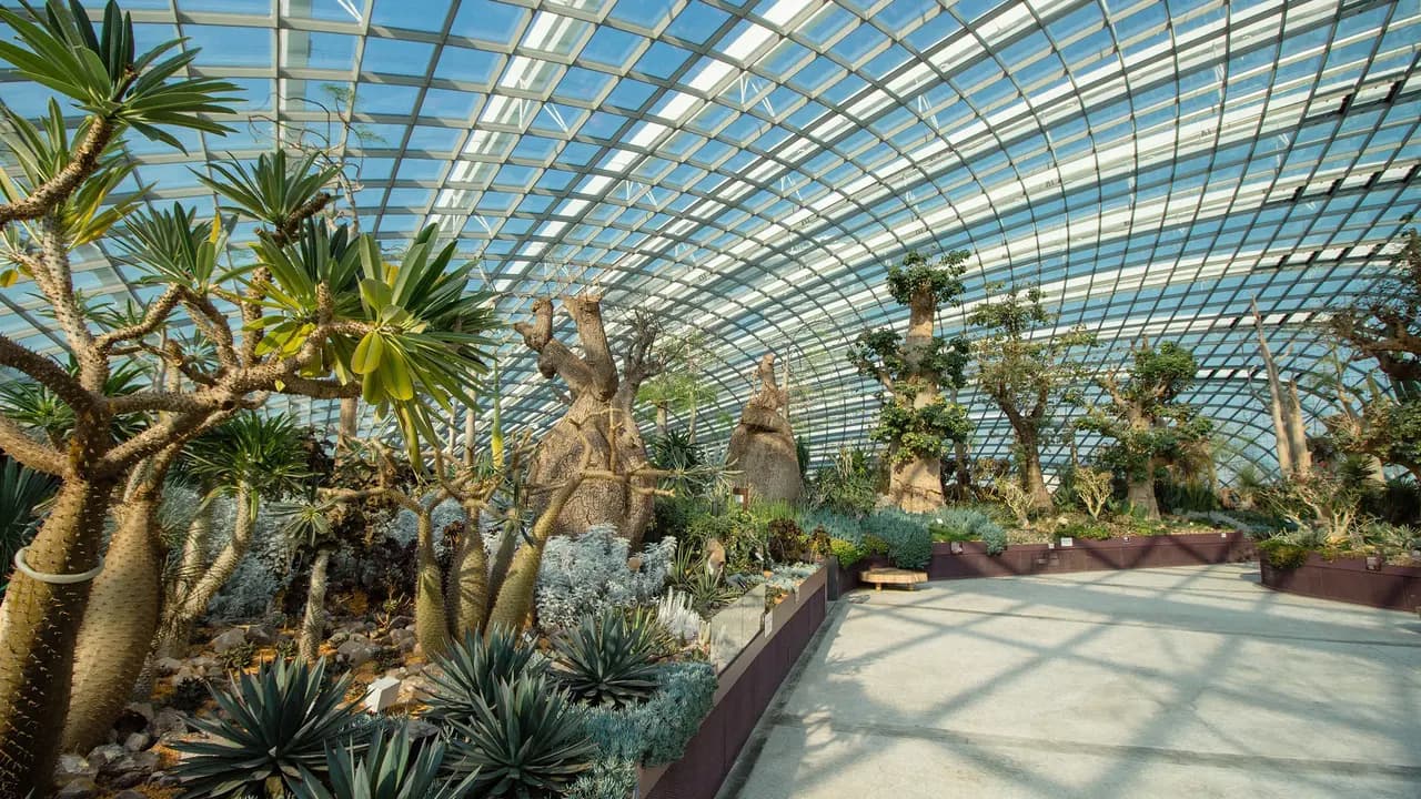 COMBO: Universal Studios Singapore + Gardens by the Bay Ticket - Photo 8