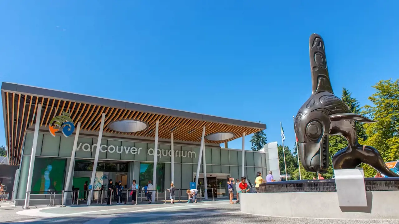 Vancouver Aquarium Ticket - Photo 2