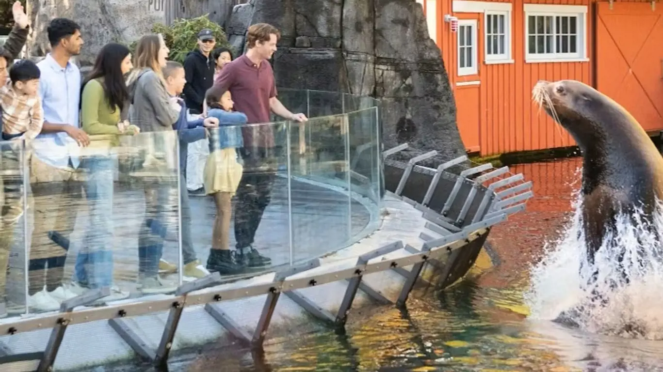Vancouver Aquarium Ticket - Photo 18