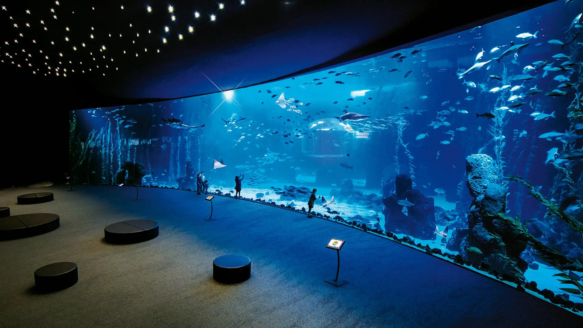 Poema del Mar - Aquarium Gran Canaria: Skip The Line Ticket - Photo 16