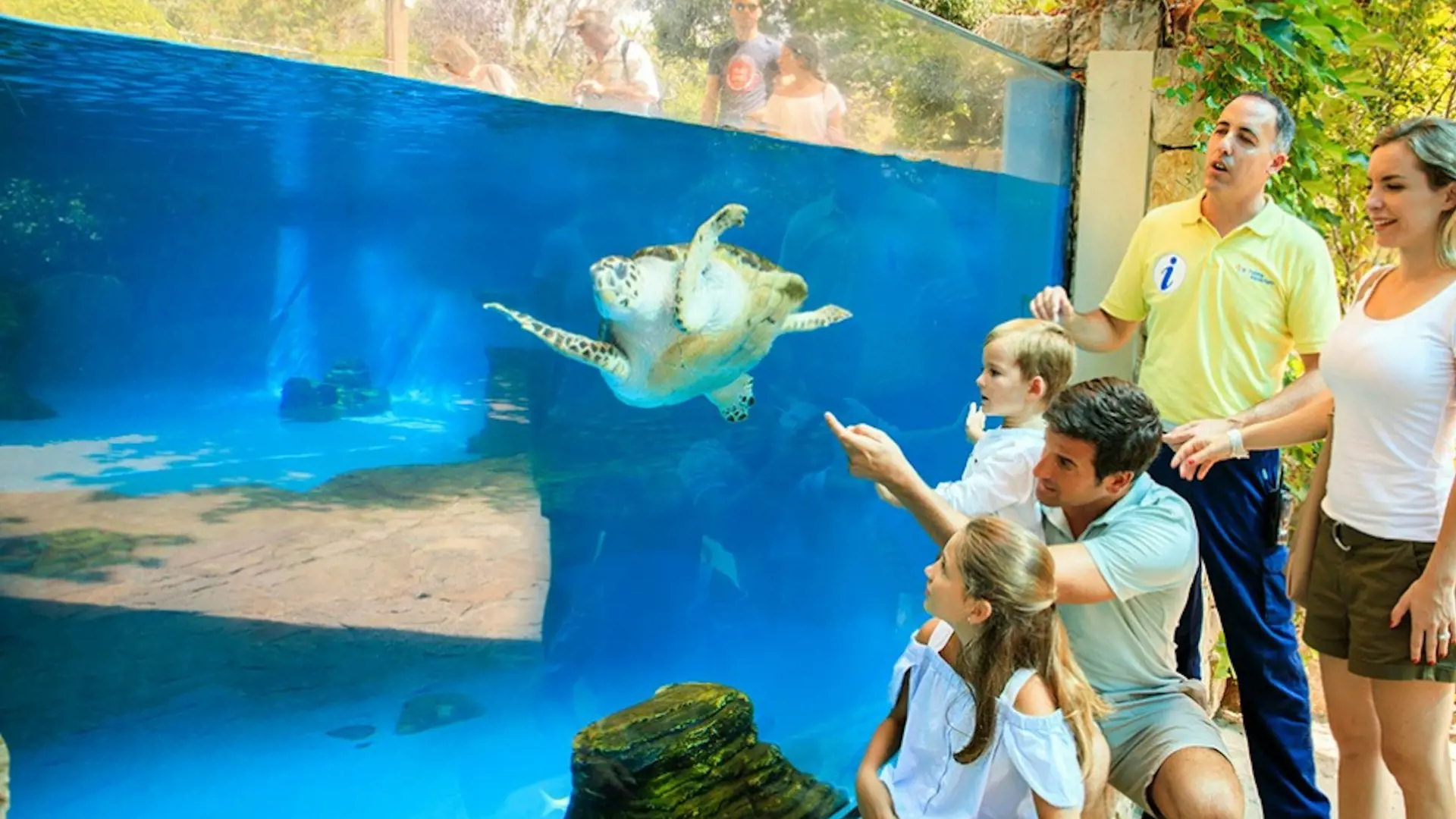 Palma Aquarium: Skip The Line Ticket + Optional 3D Cinema Aquadome - Photo 28