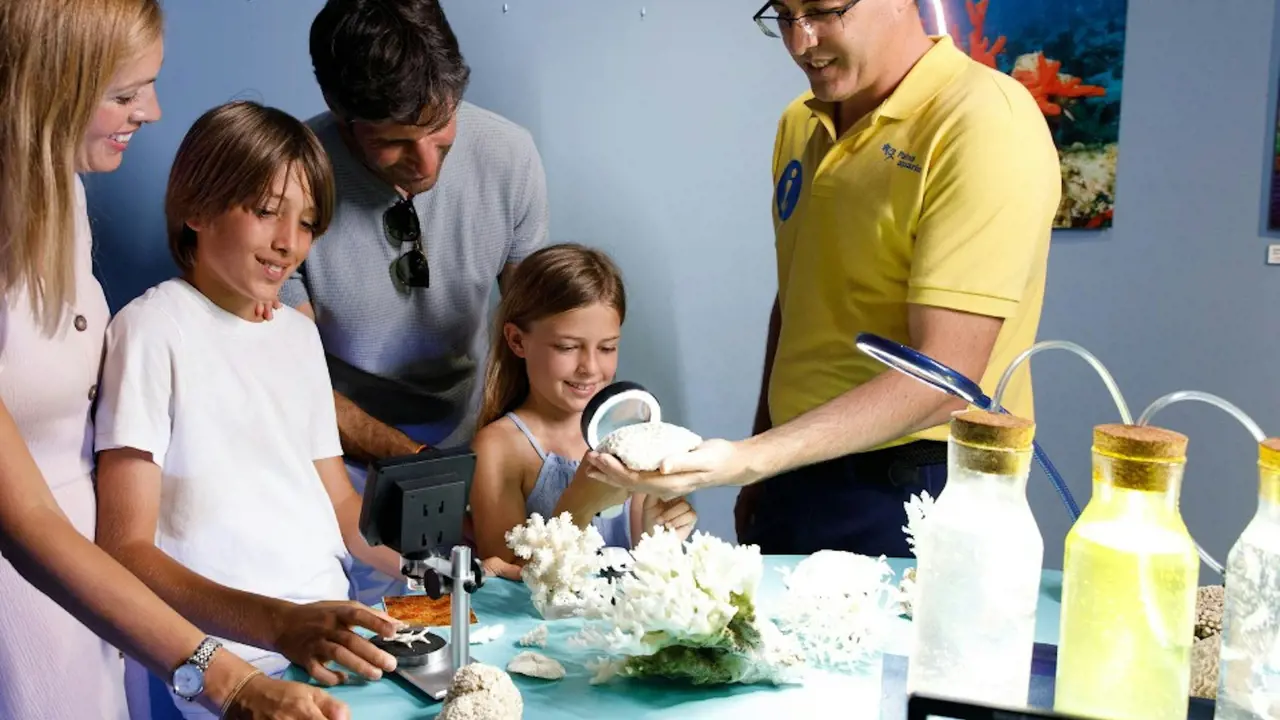 Palma Aquarium: Skip The Line Ticket + Optional 3D Cinema Aquadome - Photo 10