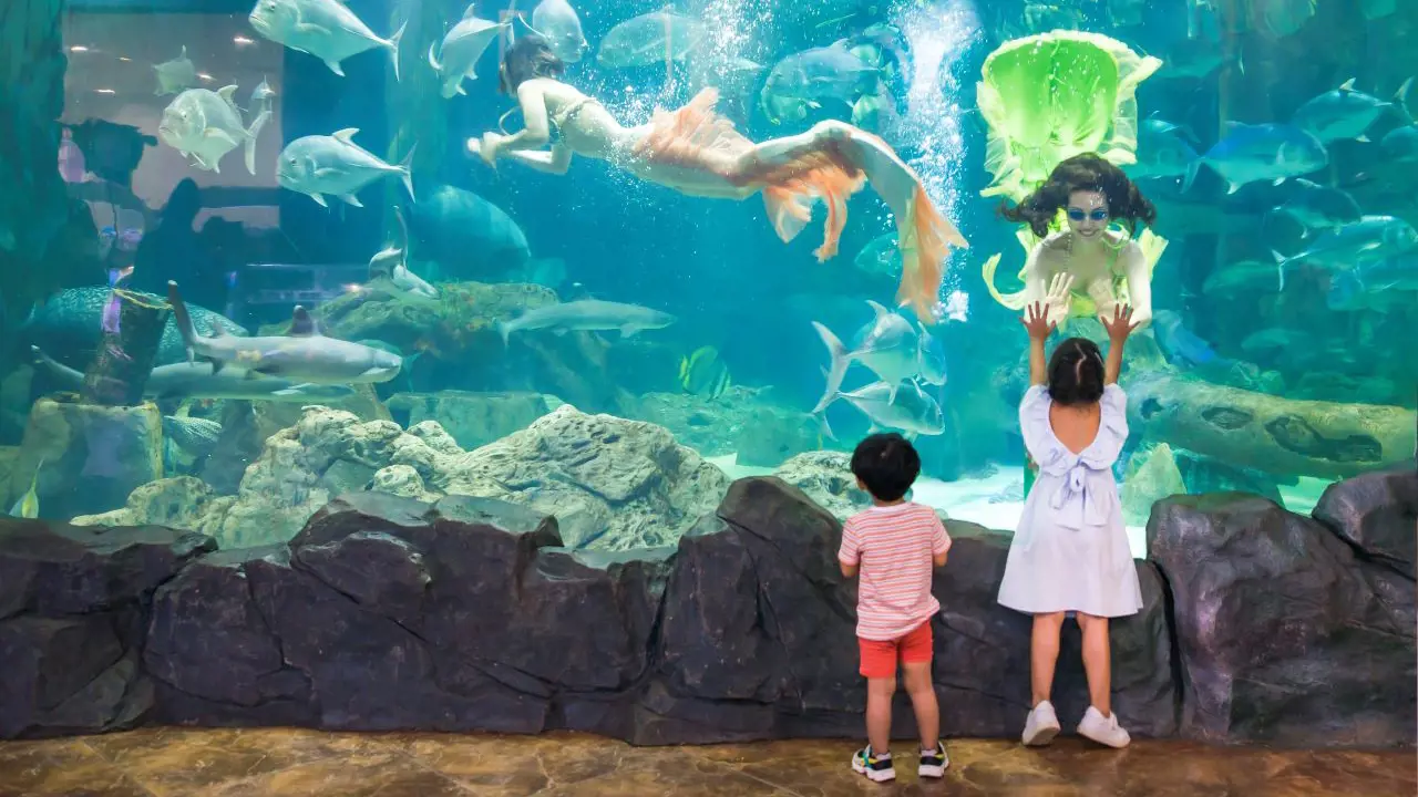 Vinpearl Aquarium Times City Hanoi Ticket - Photo 1