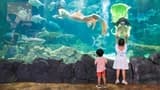Vinpearl Aquarium Times City Hanoi Ticket - Photo 8