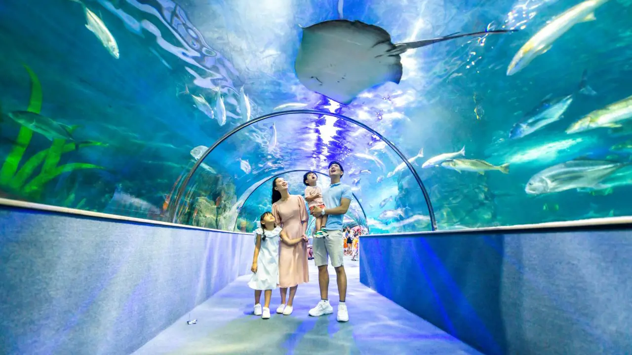 Vinpearl Aquarium Times City Hanoi Ticket - Photo 2