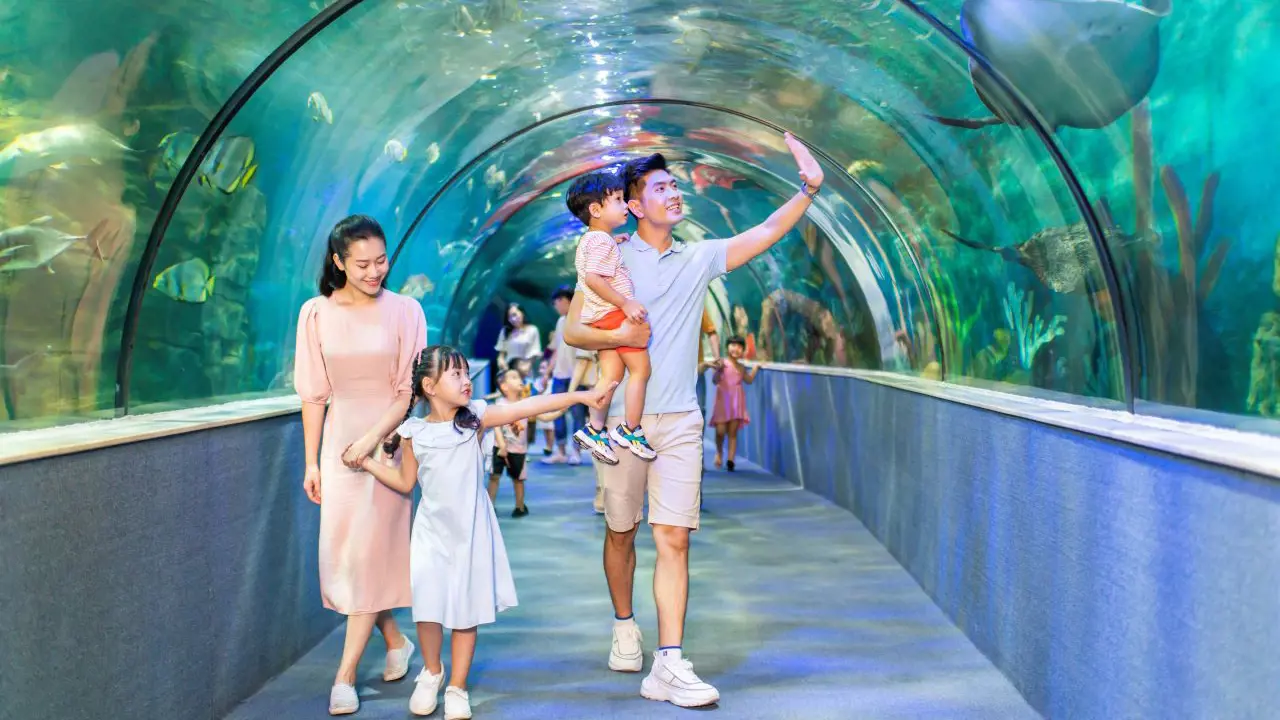 Vinpearl Aquarium Times City Hanoi Ticket - Photo 12
