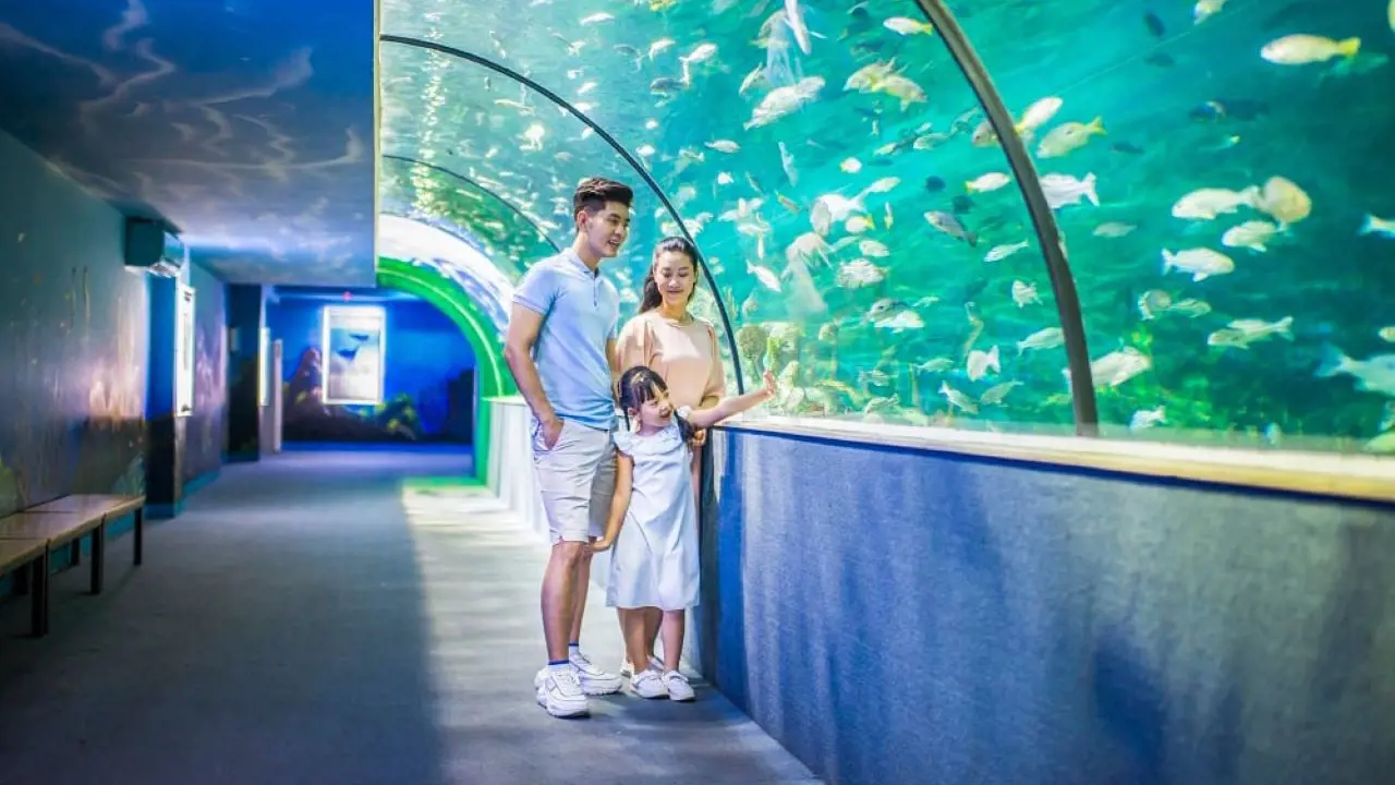 Vinpearl Aquarium Times City Hanoi Ticket - Photo 14