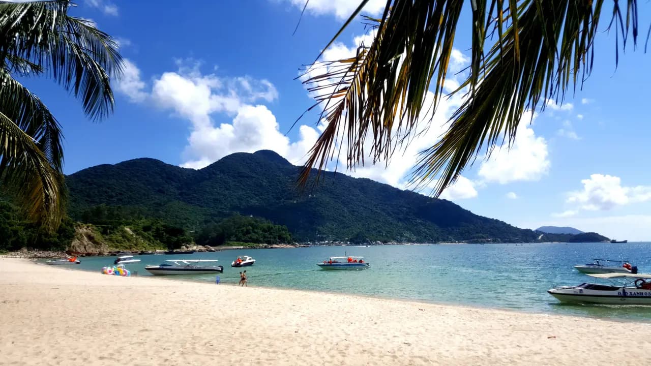 Cham Island Tour from Da Nang - Photo 1