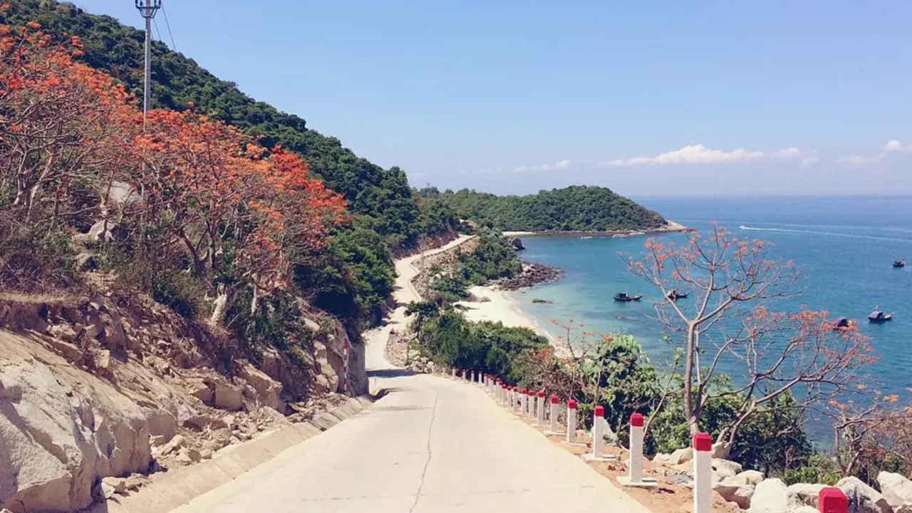 Cham Island Tour from Da Nang - Photo 2