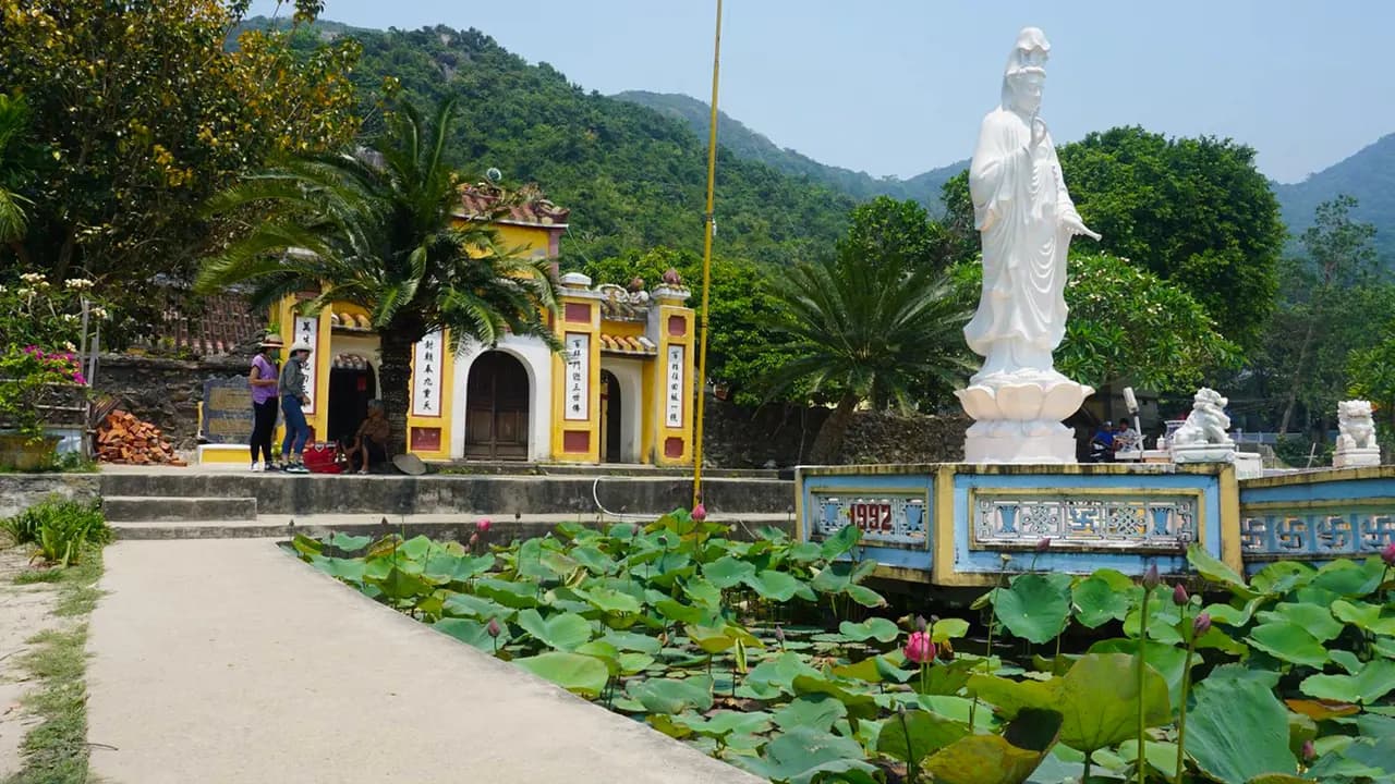 Cham Island Tour from Da Nang - Photo 5
