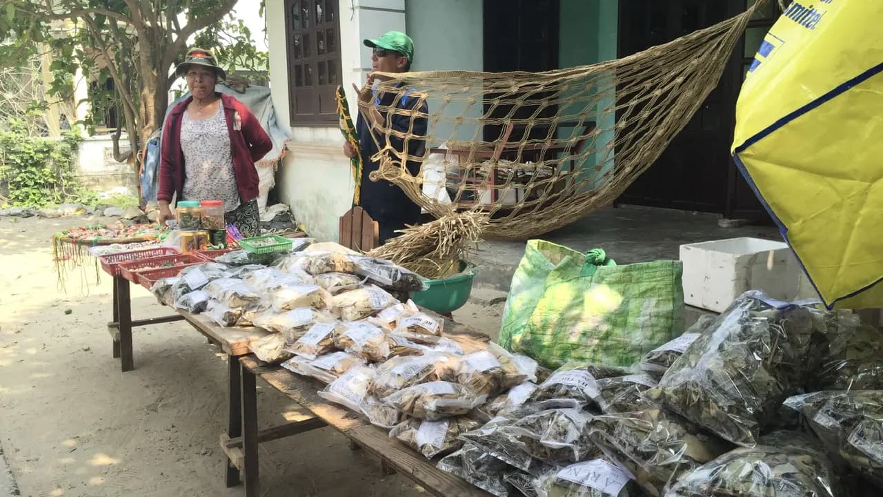 Cham Island Tour from Da Nang - Photo 20