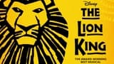 The Lion King Broadway Musical Ticket in New York - Photo 12
