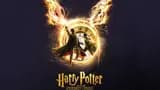 Harry Potter and the Cursed Child Broadway Ticket in New York - Photo 17