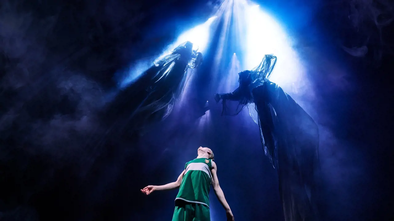 Harry Potter and the Cursed Child Broadway Ticket in New York - Photo 15
