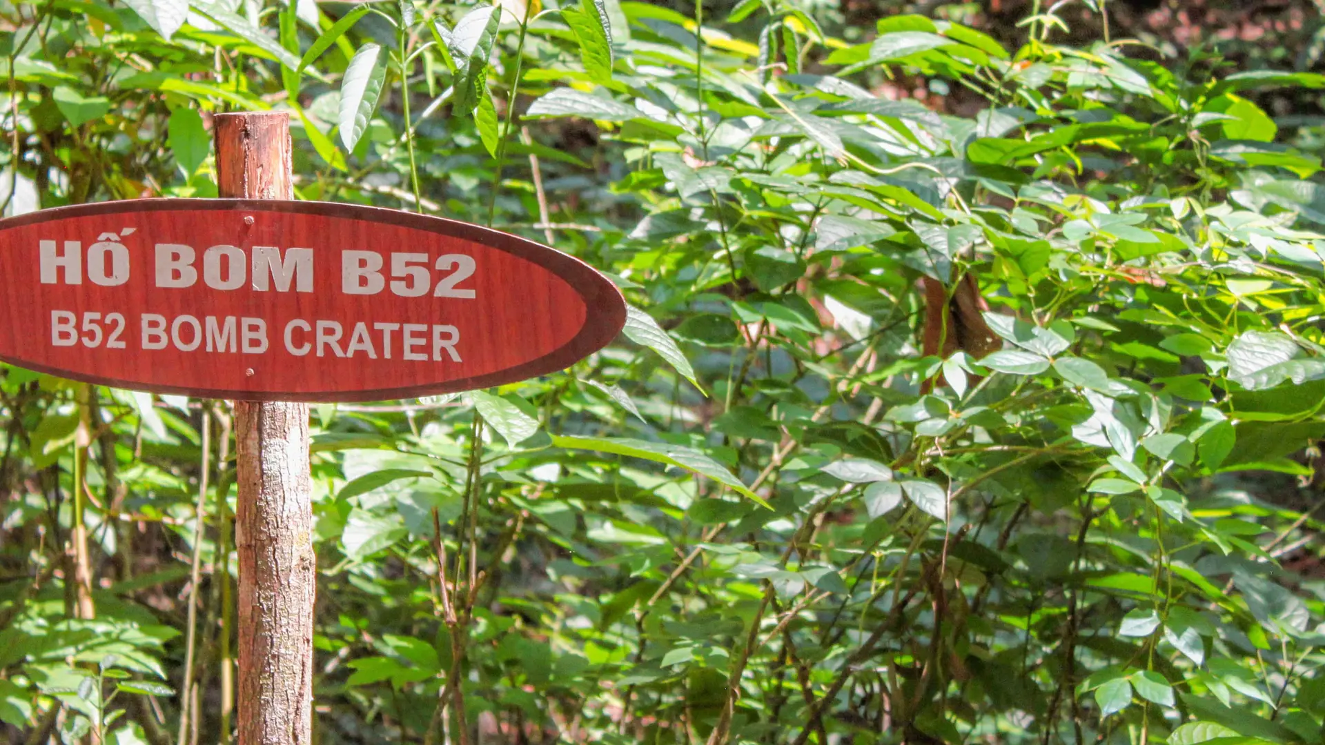Cu Chi Tunnels and Mekong Delta Full-Day Tour from Ho Chi Minh - Photo 32