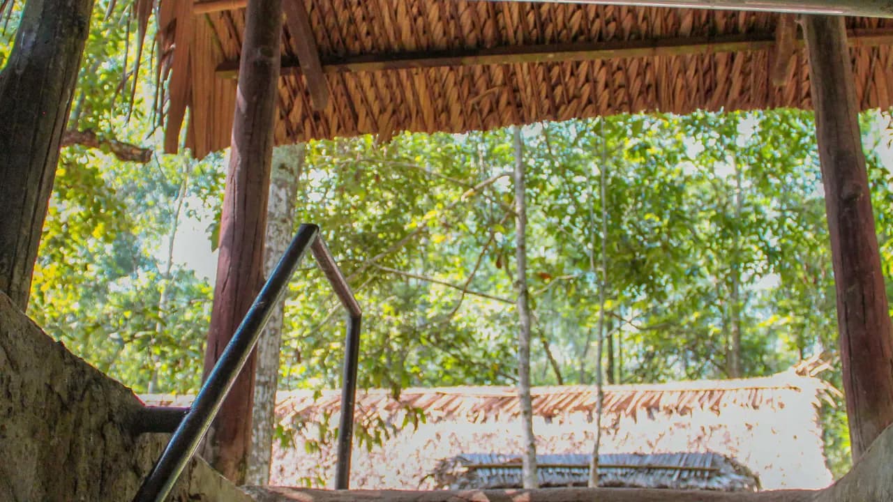 Cu Chi Tunnels and Mekong Delta Full-Day Tour from Ho Chi Minh - Photo 9