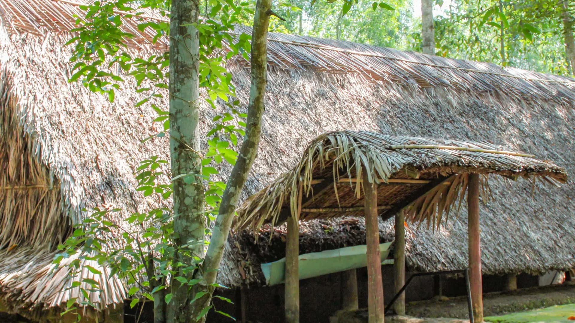 Cu Chi Tunnels and Mekong Delta Full-Day Tour from Ho Chi Minh - Photo 35
