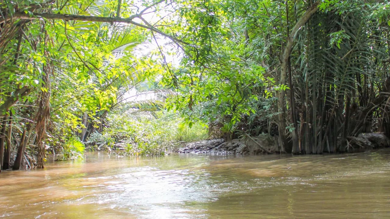 Cu Chi Tunnels and Mekong Delta Full-Day Tour from Ho Chi Minh - Photo 15
