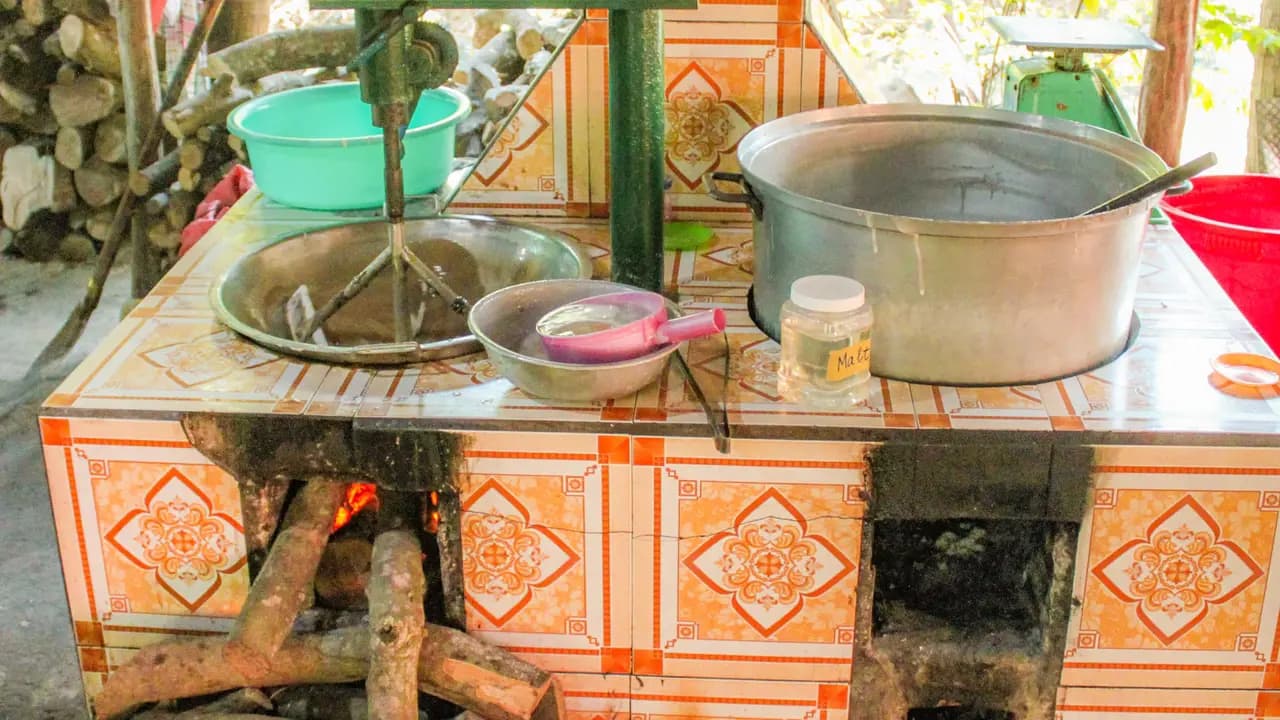Cu Chi Tunnels and Mekong Delta Full-Day Tour from Ho Chi Minh - Photo 18