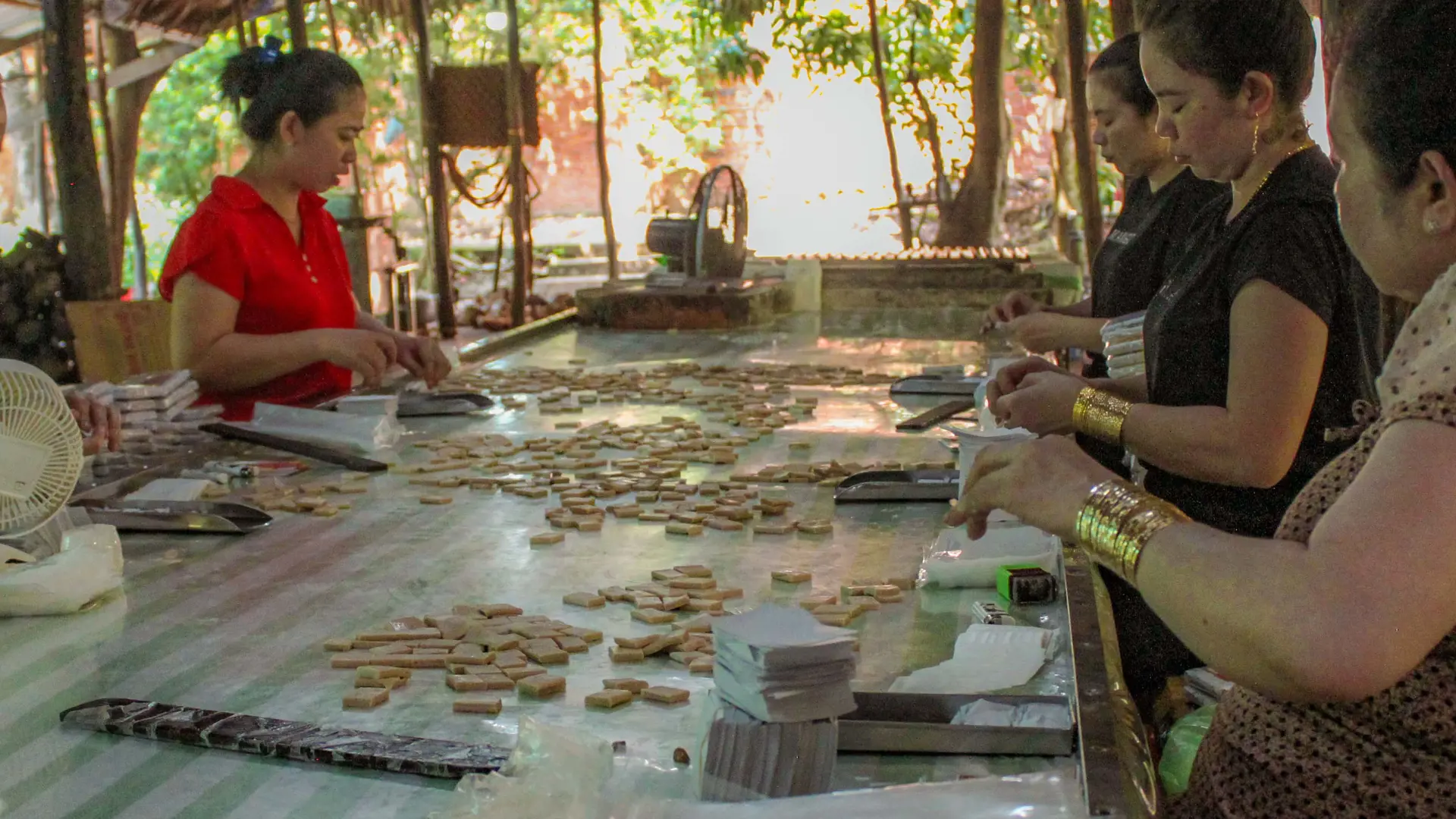 Cu Chi Tunnels and Mekong Delta Full-Day Tour from Ho Chi Minh - Photo 45