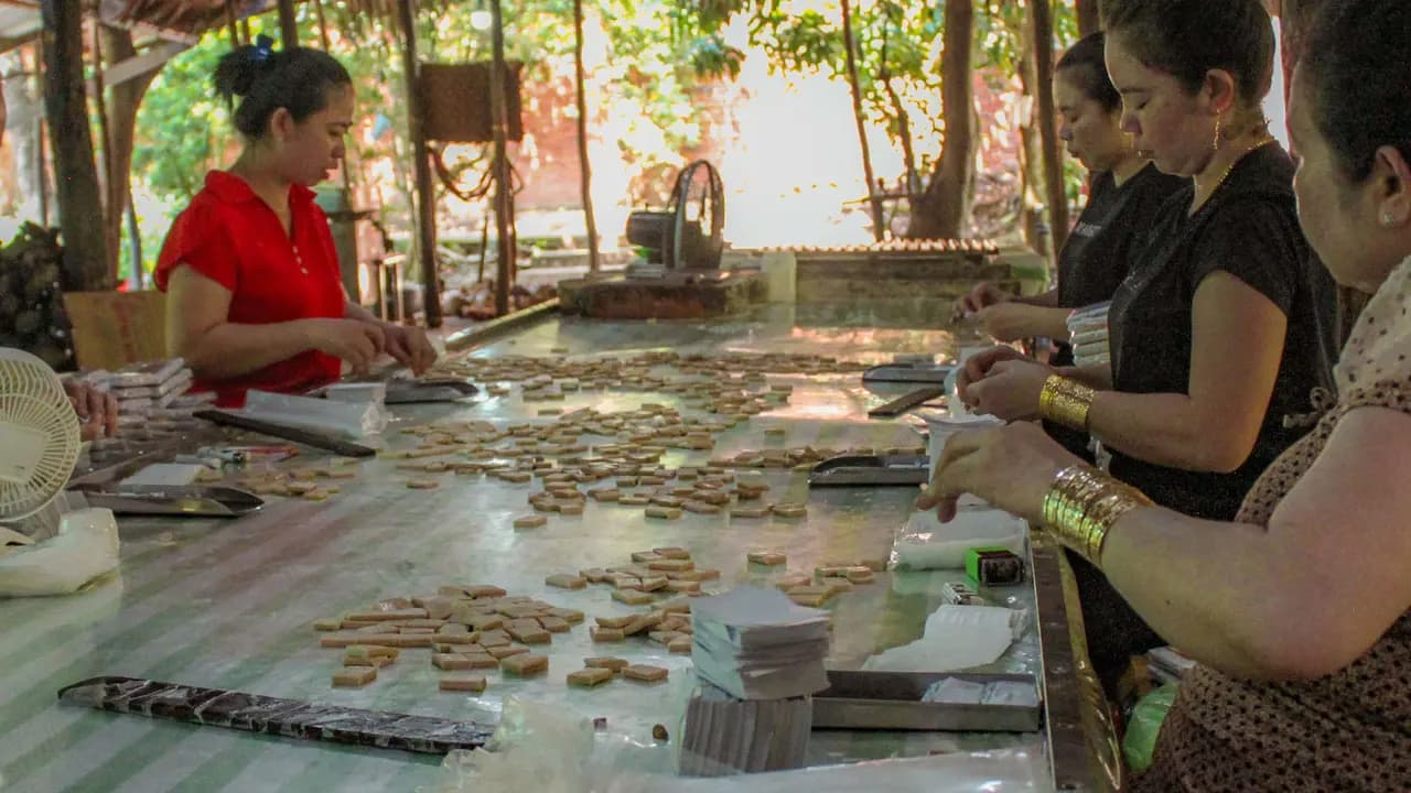 Cu Chi Tunnels and Mekong Delta Full-Day Tour from Ho Chi Minh - Photo 21