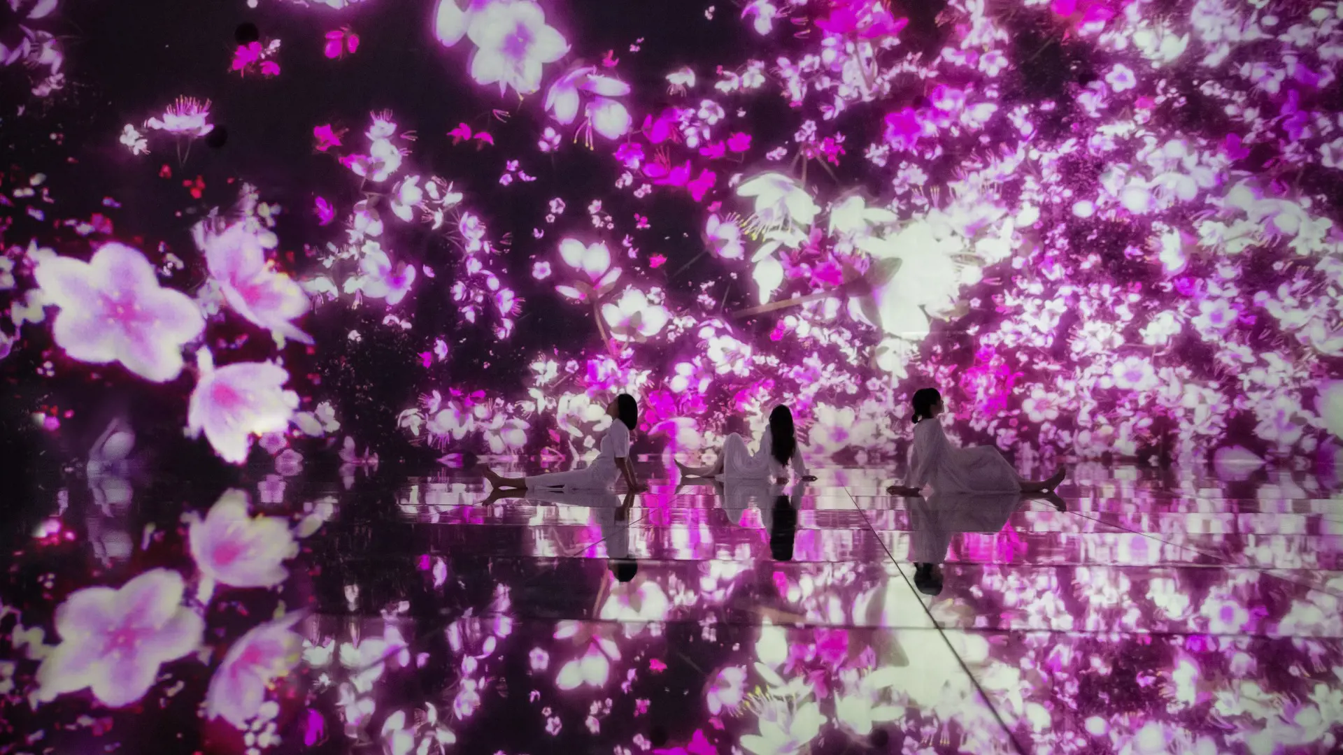 teamLab Planets TOKYO Ticket - Photo 25