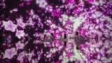 teamLab Planets TOKYO Ticket - Photo 23