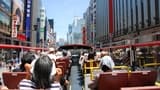 Tokyo Sky Hop-on Hop-off Sightseeing Bus - Photo 12