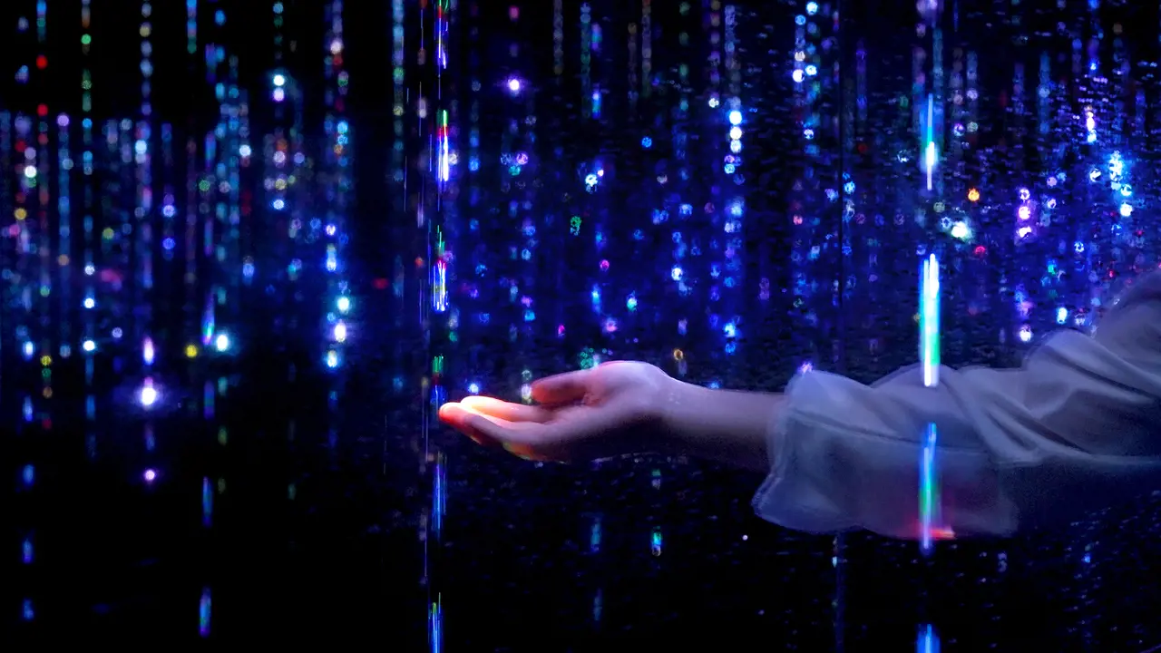 teamLab Planets TOKYO Ticket - Photo 7