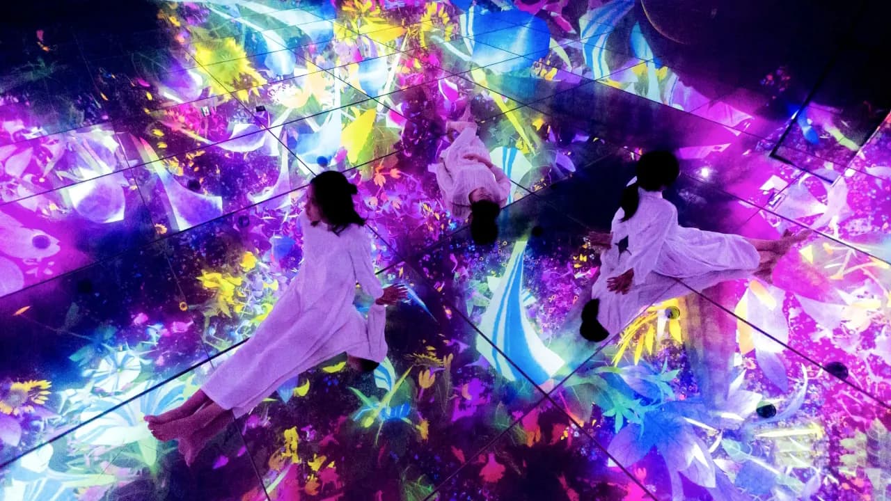 teamLab Planets TOKYO Ticket - Photo 9