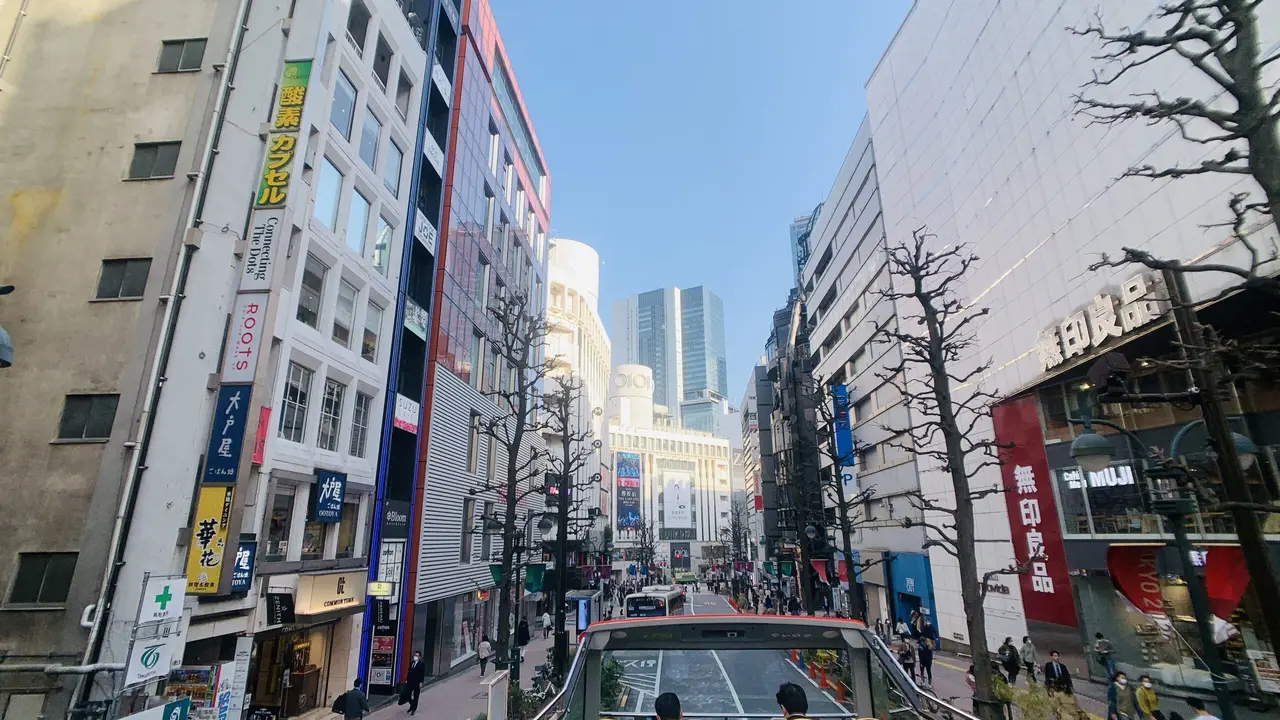 Tokyo Sky Hop-on Hop-off Sightseeing Bus - Photo 10