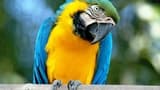 Bioparco: The Zoo of Rome - Photo 14
