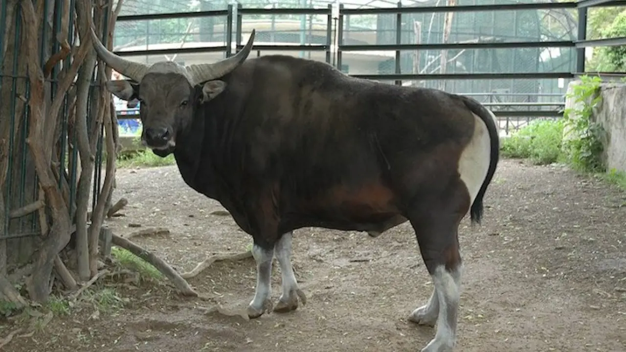 Bioparco: The Zoo of Rome - Photo 7