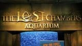 Lost World Aquarium - Photo 6