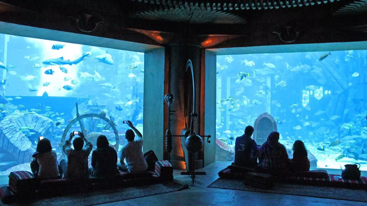 Lost World Aquarium - Photo 9
