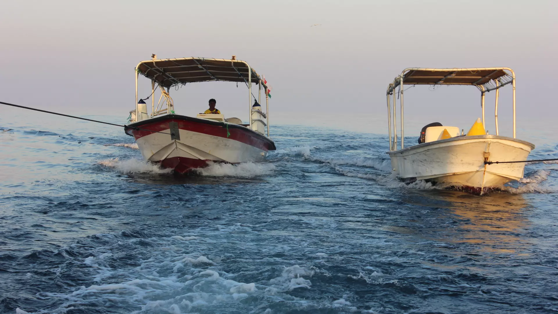 Musandam Day Trip - Photo 30