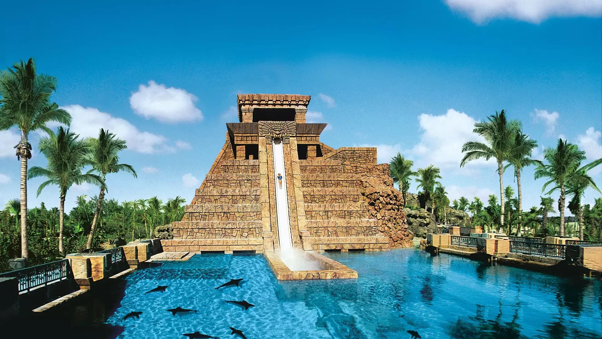 Aquaventure Waterpark - Photo 24