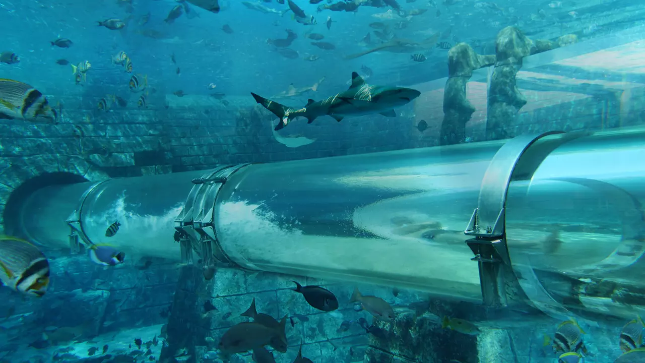 Aquaventure Waterpark - Photo 11