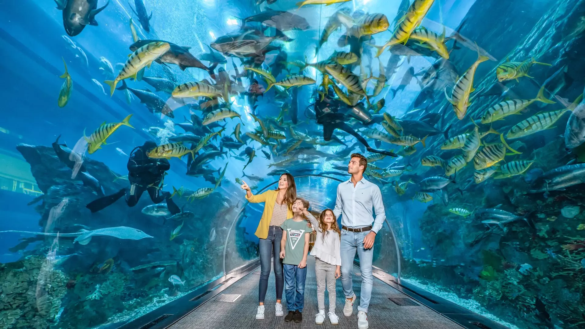 Aquarium and Underwater Zoo at the Dubai Mall - Photo 16