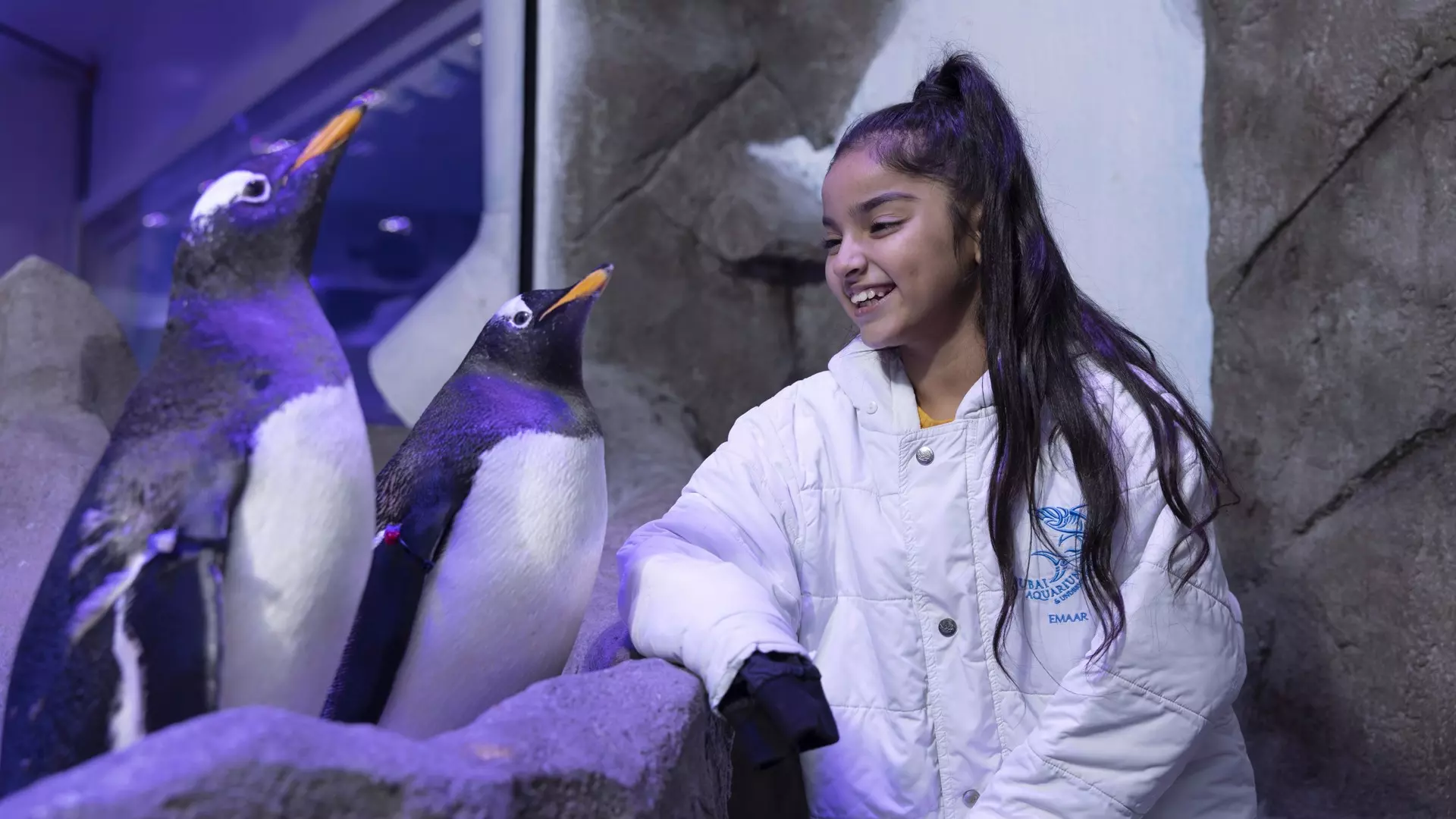 Aquarium and Underwater Zoo at the Dubai Mall - Photo 18