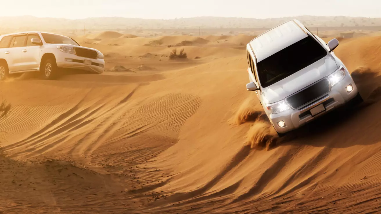 Morning Desert Safari Dubai - Photo 9